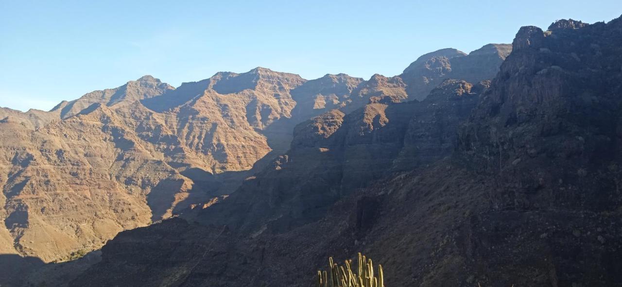 Oasis El Palmeral De Agaete Dış mekan fotoğraf