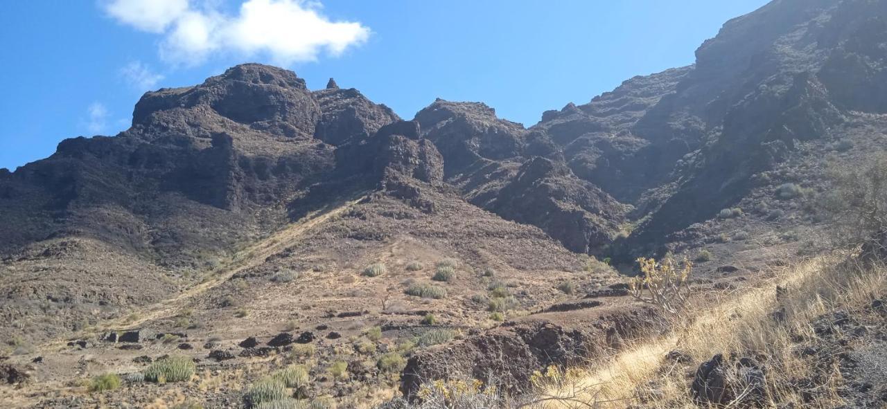 Oasis El Palmeral De Agaete Dış mekan fotoğraf