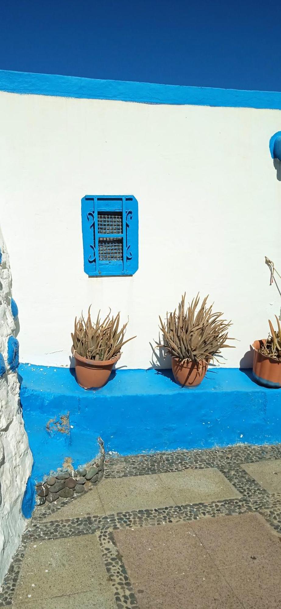 Oasis El Palmeral De Agaete Dış mekan fotoğraf